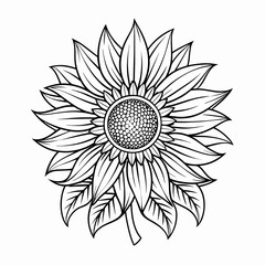 Natural Sunflower line art drawing