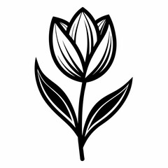 One line tulip flower in black and white colors 