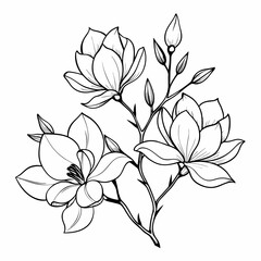 One Line Drawing Vector Magnolia Flowers Print Set 