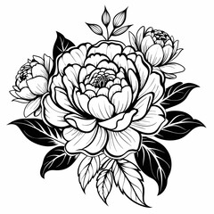 Peony Line Drawing. Black and white Floral Bouquets. Flower Coloring Page. Floral 