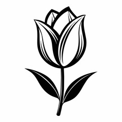 One line tulip flower in black and white colors 