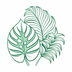 One line drawing vector monstera leaf and palm tree leaves. Modern single line art