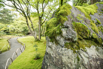 Huge rock with moss in Japanese garden.
Big boulder in foreground in a Zen garden.

