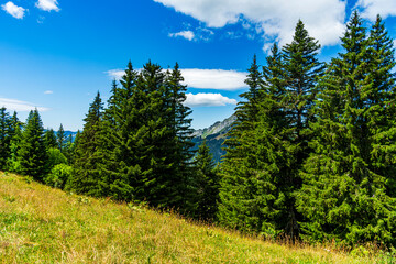 Montagne -paysage à abondances et environ - Chatel - France