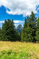 Montagne -paysage à abondances et environ - Chatel - France