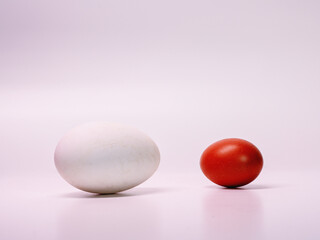large white goose egg, small chicken egg, dark, white background, close-up photo, front