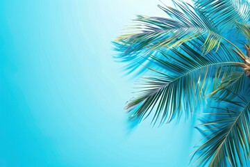 Fototapeta na wymiar Summer time background palm tree design and copy space - generative ai