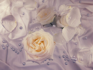 Cream roses, rose petals and pearls on a pale lilac background