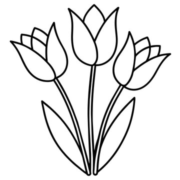 black and white tulip