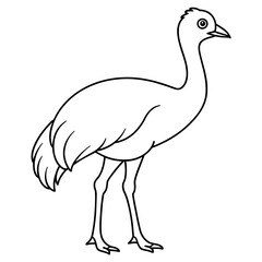 illustration of a ostrich