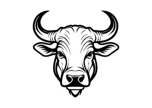 bull head with horns illustration