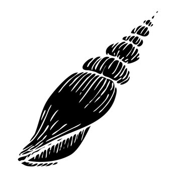 recommend clip art: Vector seashell black silhouette illustration. Hand drawn maritime seashell sketch. Monochrome undersea seashell drawing. Isolated design element in silhouette style for icon, logo, seafood shop, menu