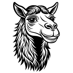 camel head silhouette vector illustration svg file
