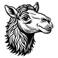 camel head silhouette vector illustration svg file
