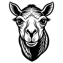 camel head silhouette vector illustration svg file
