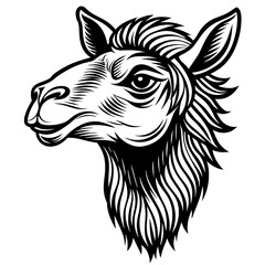 camel head silhouette vector illustration svg file
