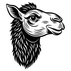 camel head silhouette vector illustration svg file
