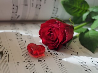 Rosen und Herz zum Valentinstag