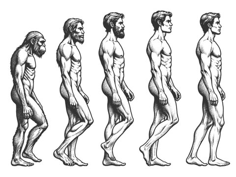 evolution of man from ape through various stages to modern human sketch engraving generative ai fictional character vector illustration. Scratch board imitation. Black and white image.