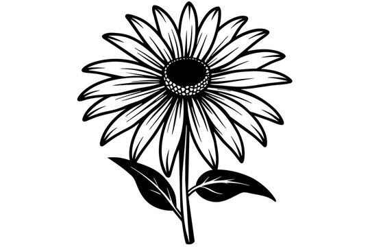 black eyed susan flower silhouette vector illustration