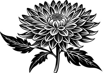 chrysanthemum flower silhouette vector illustration