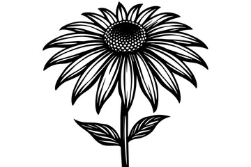 coneflower silhouette vector illustration