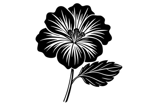 black hibiscus flower on white background clip art preview