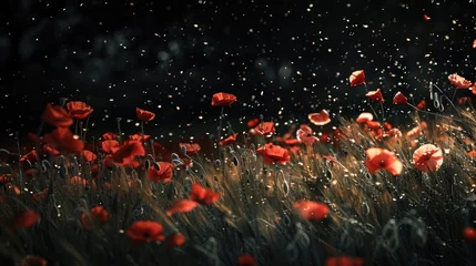 Keuken spatwand met foto Abstract poppy field, white stones for lost souls, dark to dawn backdrop, symbolizing mourning to resilience. © Татьяна Креминская