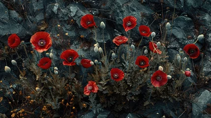 Gardinen Abstract poppy field, white stones for lost souls, dark to dawn backdrop, symbolizing mourning to resilience. © Татьяна Креминская