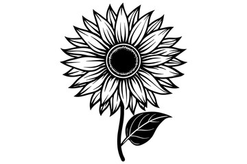 sunflower vector illustration