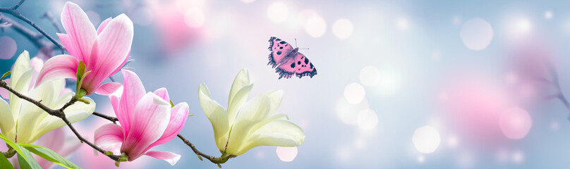 Magnolia flower and butterfly in spring fairy tale blooming garden on mysterious floral soft blue...