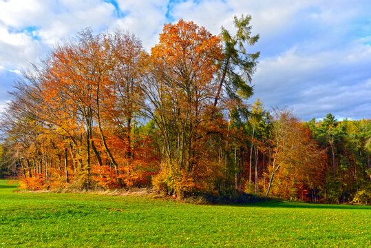 Herbststimmung im Odenwald / Landkreis Miltenberg in Bayern