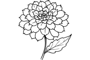 marigold silhouette vector art illustration