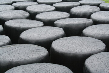 round bales wrapped in black plastic