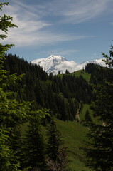 Green Alpine trails with spectacular Mont Blanc view point.  