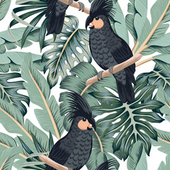 Tropical black parrots, palm leaves, banana leaves floral seamless pattern white background. Exotic jungle wallpaper.	
