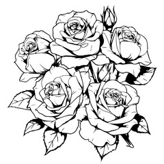 Bouquet of Roses Line Art Vector Illustration
