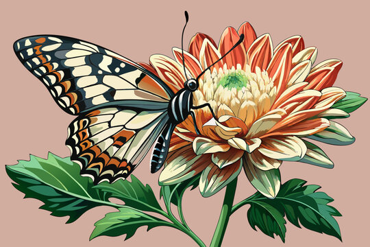 Close-up, a butterfly sits on a bud of a beautiful chrysanthemum, photorealism, hyperrealism, precise details