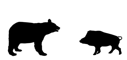 American black bear against wild boar vector silhouette illustration isolated on white background. Wildlife fight bear vs warthog. Forest hungry beast needs food shape shadow. - obrazy, fototapety, plakaty