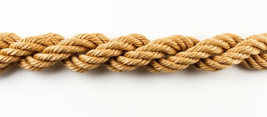 A detailed view showing a single rope placed on a plain white background, highlighting its texture and design