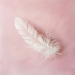 A white feather is on a pink background. The feather is the main focus of the image, and it is delicate and light. The pink background adds a soft and gentle touch to the overall composition