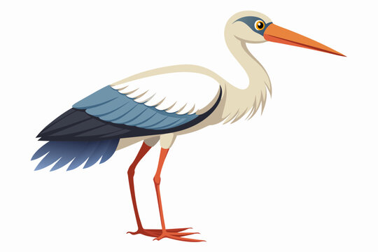 white stork bird standing, blue wings, orange beak clip art preview
