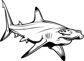 Blacck Hammerhead Shark Vector Illustration
