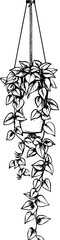 Hanging Potted Plant Line Drawing Vectot
