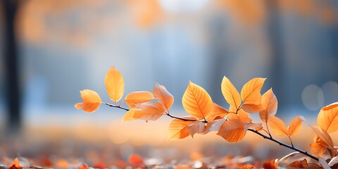Autumn background with yellow leaves on bokeh defocused lights - Powered by Adobe