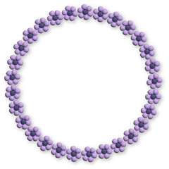 3D Flower Illustrations and Flower Frames