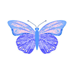 Blue-violet butterfly with trendy decorative textures close-up in vintage retro style, top view. Cute vector illustration on white isolated background in flat style.