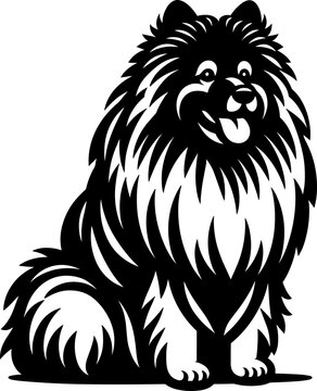 Keeshond Dog
