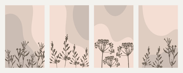 Set of botanical cards, posters. Silhouette of wild flowers and plants in beige colors. Templates, vector