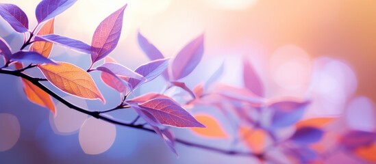 Cluster of vibrant purple leaves dangling from a branch, illuminated by a radiant light in the background - Powered by Adobe